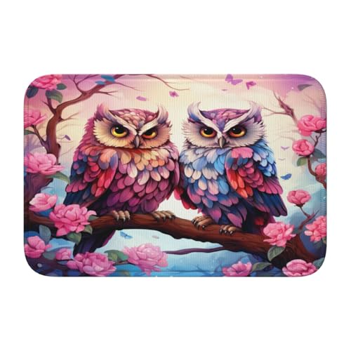 Mexpekil Paillasson de bienvenue lavable pour intérieur et extérieur Motif branches de chouettes et fleurs 40 x 60 cm