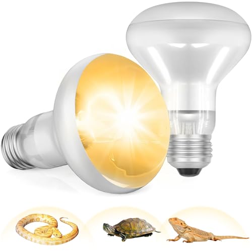Dinhauyon Lampe chauffante pour reptiles E27, 2 ampoules chauffantes, aide à la santé et à la vision des couleurs des tortues, des lézards, des serpents et de tous les reptiles (220-240 V, 100 W)