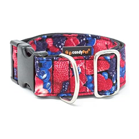 candyPet Dog Click Collar - Forest Fruit Design Cover