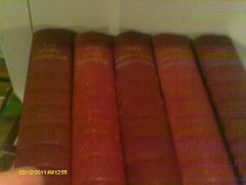 The Practical Handyman