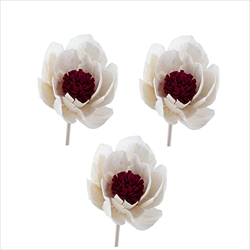 Difusores De Aroma De Rattan Con Reemplazos De Varillas 3 Pcs miniatura 1