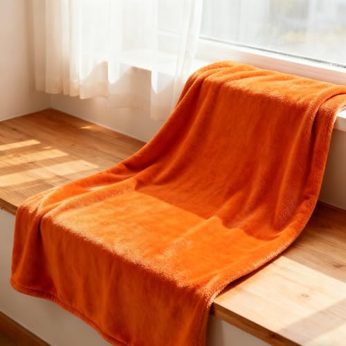 ѕz VO 110 x 170 cm 唻RRӂӂ킨t[XuPbgRۖhLzM͐Ódh~yʃ\t@/JE`/xbhpX[, IW