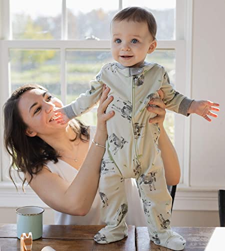 Image of Burt's Bees Baby unisex-baby Sleep & Play, Organic One-piece Romper-jumpsuit Pj, Zip Front Footed Pajama