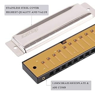 East top Harmonica diatonique en Do 10 Trous, Harmonica Blues Diatonique, T10-3-C Instrument pour Adultes, étudiants… - Les Beatles, Paul McCartney, John Lennon, RIngo Starr, George Harrison East top Harmonica diatonique en Do 10 Trous, Harmonica Blues Diatonique, T10-3-C Instrument pour Adultes, étudiants… – Image 2