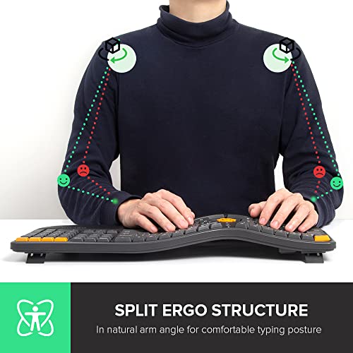 Delux Wireless Ergonomic Keyboard - Ergo Split Keyboard With Palm Rest For Natural Typing, 2.4G And Bluetooth, Full-Size, Us Layout - Compatible With Windows And Mac Os (Gm905, Graphite) #TOP1