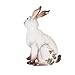 Fitz and Floyd Fattoria Collectible Figurine, Muli Colored