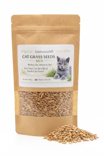Cat Grass Seeds 150g Grow Fresh Cat Grass Natural Indoor Cat Grass Easy to Grow Made in UK (Mix)