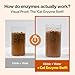 Doctor By Cat Enzyme Swift Cat Digestive Enzyme Supplement Vomiting Diarrhea, Loss of Appetite, Hairball with Pancreatine, Papain, Bromelain, Micro-Size for Easy Swallowing, 60 Sprinkle Capsules