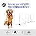 PawHut Adjustable Dog Agility Training Obstacle Set with Weaves Poles and Storage Bag