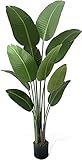 Fencer Wire Artificial Bird of Paradise Tree, Fake Plant in Pot with Dried Moss, Premium UV Resistant Lifelike Tropical Home Décor, 5 Feet, 60 Inch Faux Tree with 10 Trunks for Indoor/Outdoor Use
