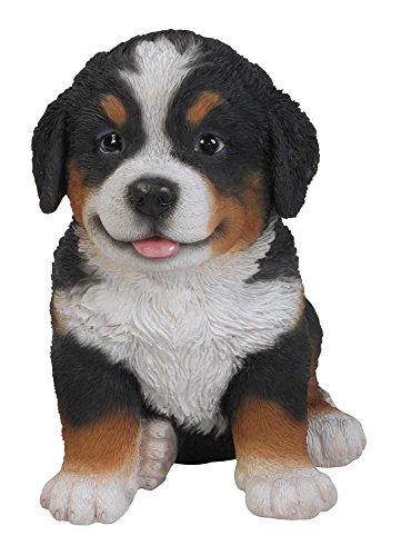 Estatua cachorro de perro Bernese Mountain Dog