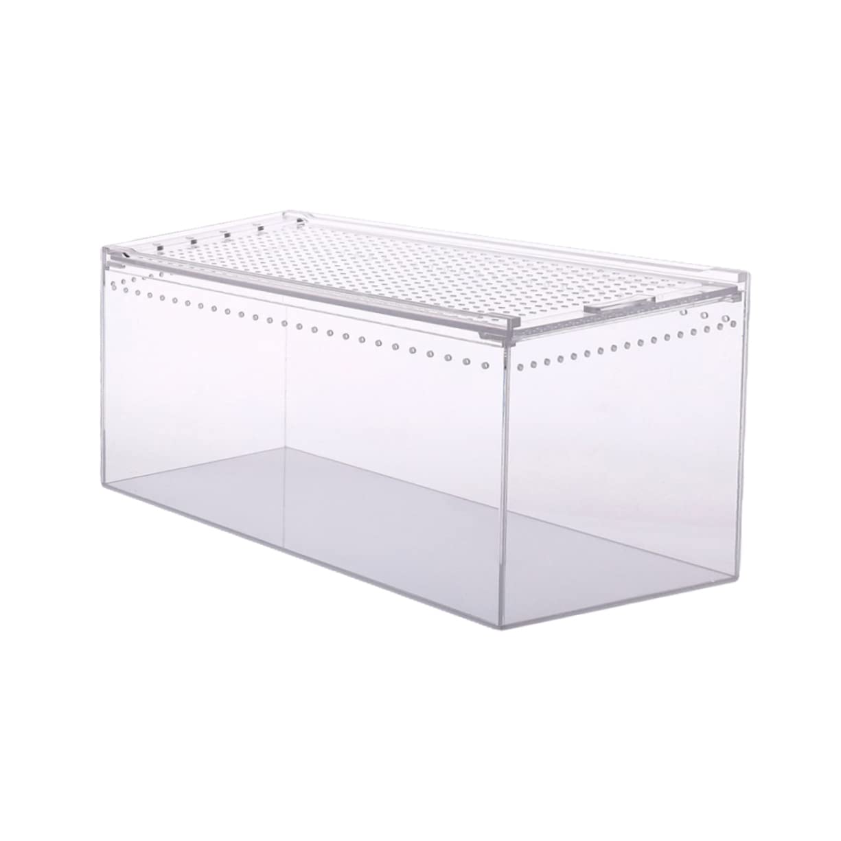 Aquarium élevage boîte alimentation reptiles pour décorer votre salon