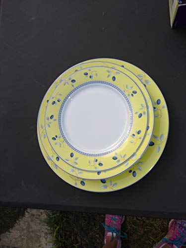 Royal Doulton Blueberry Beautiful Plates Dinnerware Set #TOP2