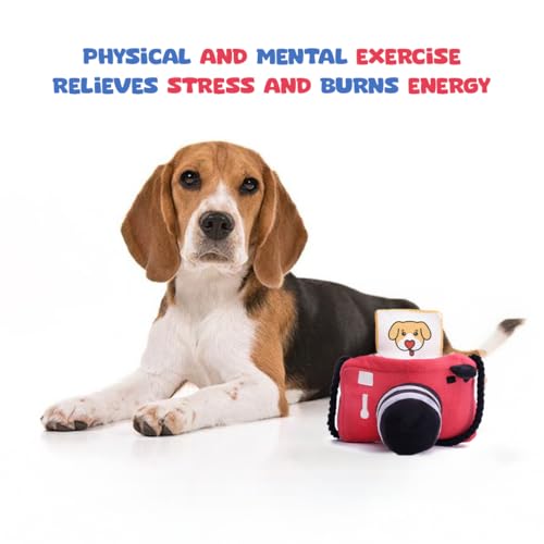 Image of Mutt of Course Pawlaroid Camera (2 Toys in 1)