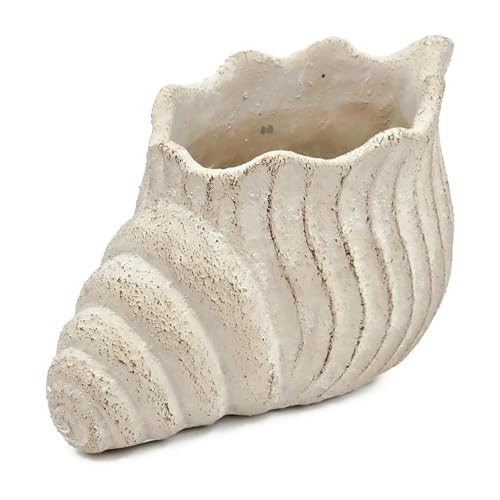 Pots de fleurs amusants pot de fleurs coquillage sable ciment