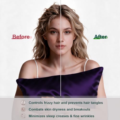 Image of LYSHIN Silk Pillow Cases 2 Pack Queen Size with Zipper, Purple | 19 Momme Mulberry Silk Pillowcase for Skin and Hair, Anti-Acne, Hypoallergenic, Cooling, Beauty Sleep, Gifts for Women