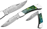 Novahaven Damaststahl Taschenmesser – Klappmesser für EDC, Jagd, Camping & Survival mit Holz-, Knochen- oder Harzgriff – Outdoor Geschenk-Messer (Mehrere Farben) (Grünharz)