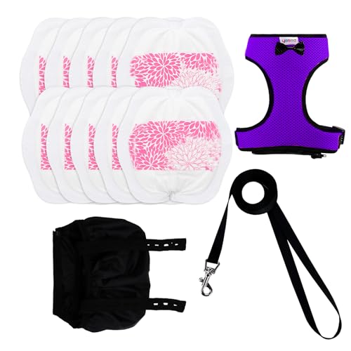 Yesito Adjustable Chicken Harness Diaper (5.4ft Leash) Breathable & Washable Secure Training for Hens Ducks & Chicks | Outdoor Walking & Discipline Solution