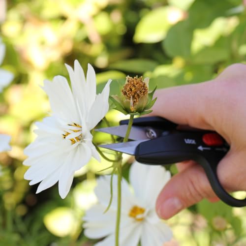 Darlac DP 125 Deadheading Snips with Locking Mechanism, Gardening Snips, Lightweight, Flower Harvesting 5 Darlac DP 125 Deadheading Snips with Locking Mechanism, Gardening Snips, Lightweight, Flower Harvesting - Image 5