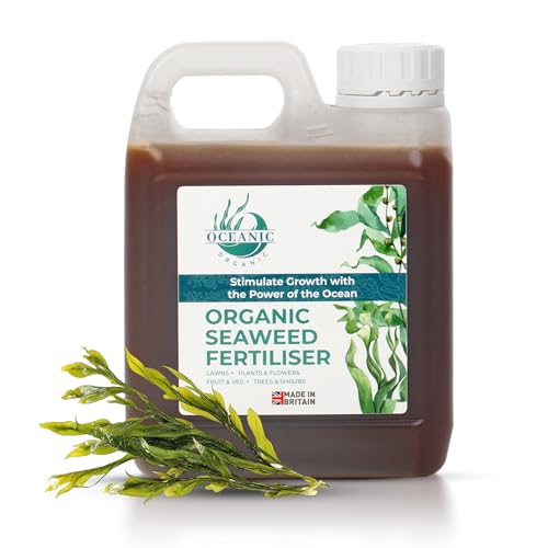 Organic Seaweed Fertiliser, Nutrient-Rich Plant Feed, Liquid Seaw...