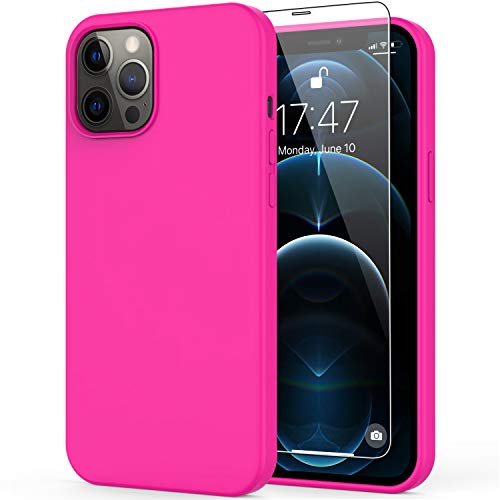 Top 10 Best iPhone 12 Pro Max Case in 2022 Reviews Buyer's Guide