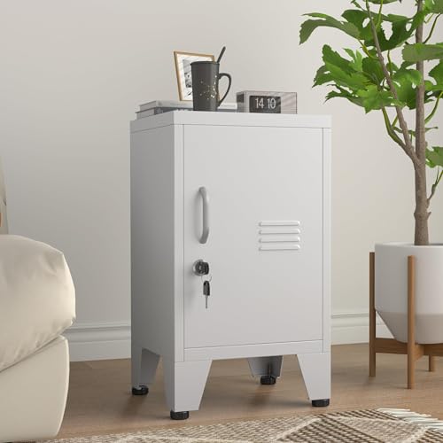 PAOFIN 24.4 H Metal Locker Storage Cabinet with 1 Doors Pantry with Shelves Storage Cabinet with Adjustable Leveling Foot for Kitchen Employees Office Kids Locker