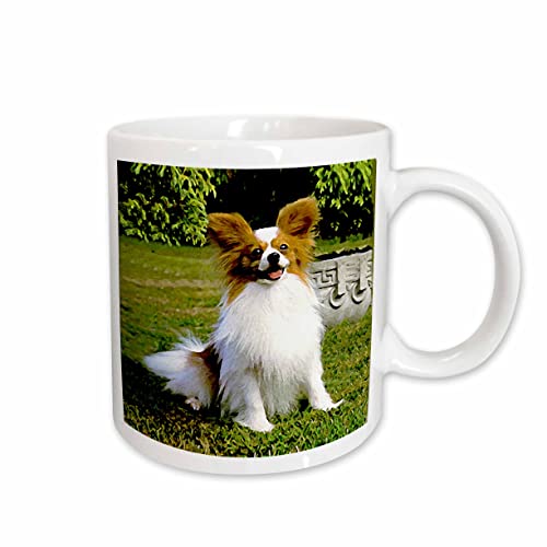 3dRose Papillon 11oz Mug
