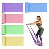 Rhinenet 5 PCS 10LB Resistance Bands Long Non-Latex Elastic Stretch Bands Work Out Band for Working Out Women or Men, Exercise Bands Set Yoga, Pilates, Gym, 6.5FT