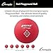 Champion Sports 10 Inch Playground Ball, Red
