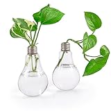 Ivolador Lightbulb Glass Flower Planter Vase Terrarium Container Office Home Garden Décor