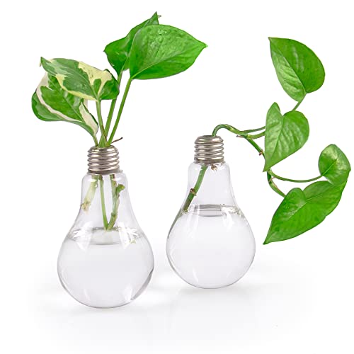 Ivolador Lightbulb Propagation Station Glass Flower Plants Vase Terrarium Container Perfect for Propagating Hydroponic Plants Home Office Garden Wedding Decoration