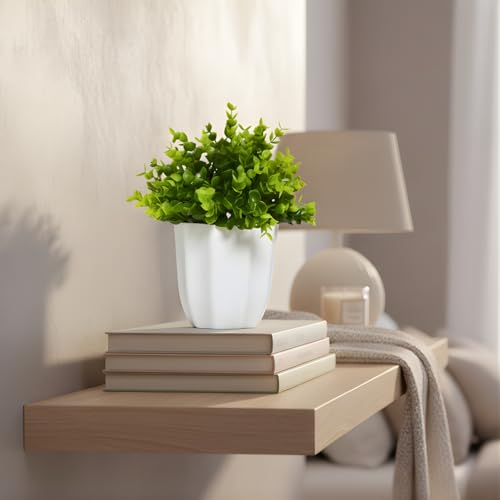Image of fancymart Artificial Plant Hackleberry Bunch in Pot - 22 cm Height, Perfect for Tabletop Decoration | Ideal for Home & Office Decor