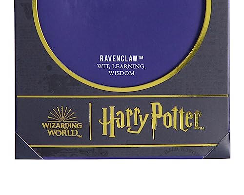 Harry Potter Ravenclaw House Animal Gem Stone Pendant Necklace4