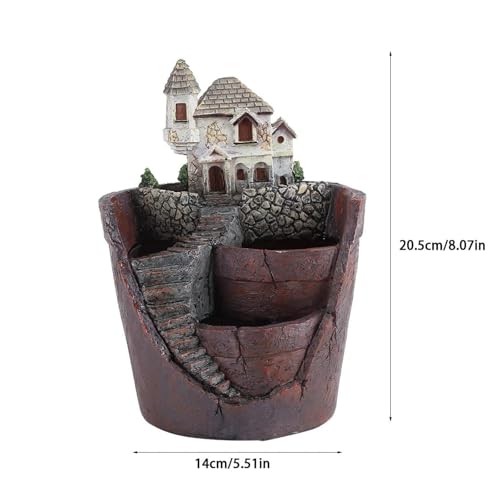 Pots de fleurs succulentes pour décorer un bureau moderne