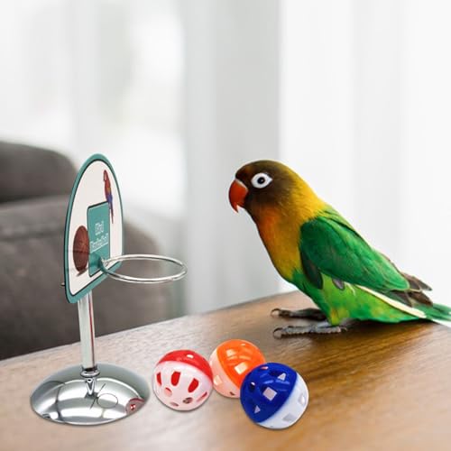 Juguete de estimulación para loros pequeños sin espacio 6