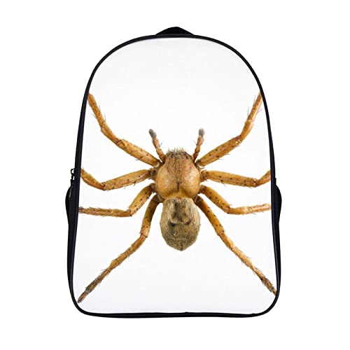 Sac à dos d'école garçon cartable Spider fille léger mode 3D de 40x28x16cm