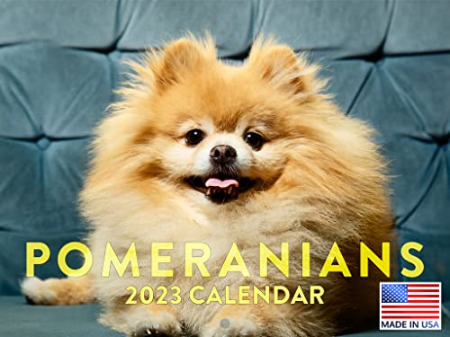 Pomeranian Calendar 2023 Monthly Wall Hanging Calendars Cute Funny Puppy Animal Dog Breed Pet Large Planner 24 Months - Full 2023 Write On Grid Plus Bonus 2024 Preview Chart - Made In USA