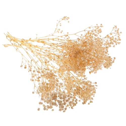 Ramo Decorativo Seco de Gypsophila Blanco ULTECHNOVO