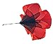 SPRI Parachute with Storage Bag (Large, 56X56-Inch)