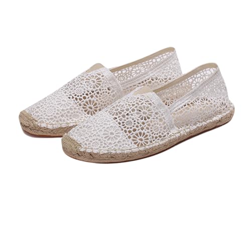 [ygntrqf] Xb| fB[X GXph[V[Y Xj[J[  [Jbg ؂񂱌C tbgV[Y [t@[ ʋC ~ ʋ ʋC(23.5)