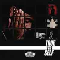 Amazon.com: True to Self: CDs & Vinyl