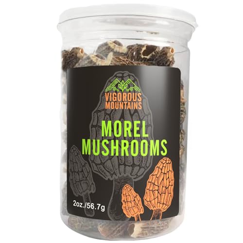 Dried Morel Mushrooms