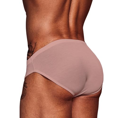Evankin Men's Breathable Underpants Modal Microfiber Stretch Briefs Low Rise Underwear