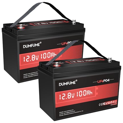 Dumfume 2 Pack 12V 100Ah LiFePO4 Lithium Batterie mit 100A BMS, 15000 Zyklen Deep Cycle Lithium Akku 1.28kWh Hohe Energiedichte Ideal für Solar Wohnmobile und Off-Grid Anwendungen