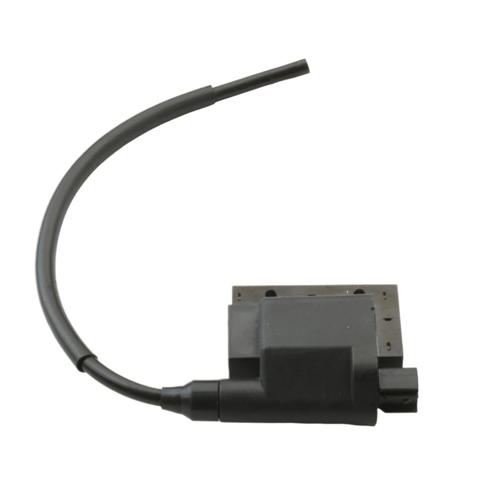 Bobina di Accensione Compatibile Con Scarabeo Ditech SR50