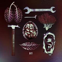 DIY / ���_�`��