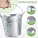 OBTANIM 8 Pack Galvanized Metal Buckets with Handle Ice Pails for Plants, Succulents, Party Favors Organizing, Rustic Home Decor or Classrooms Pencil Storage (7 x 5.1 inch)