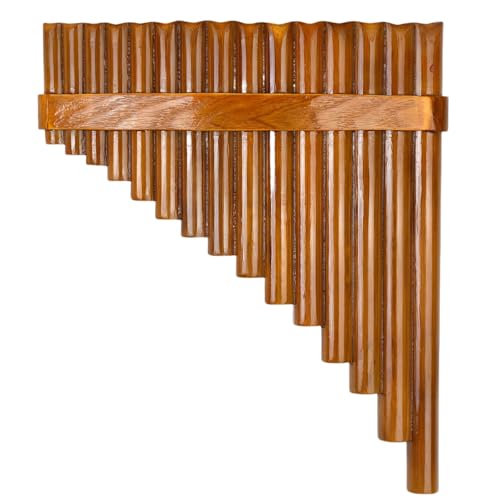 Holowa ���y���D�Ƃ̏��S�҂ɃR���T�[�g�~���[�W�b�N�e�B�[�`���O��p�̓V�R�|�J�[�{���t���[�g�A����̒��������y�� (Left-Hand)