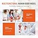 VEVOR Human Anatomy Models Bundle Set, Brain, Human Torso Body, Heart, Skeleton Model Set of 4, Hands-on 3D Model Study Tools Teaching Models for Physiology Students or as Educational Kit for Kids