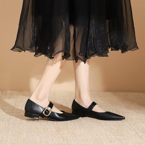 LUXINYU Women Mary Jane Flats Pu Leather Buckle Straps Pointed Toe Casual Ballet Dress Shoes4